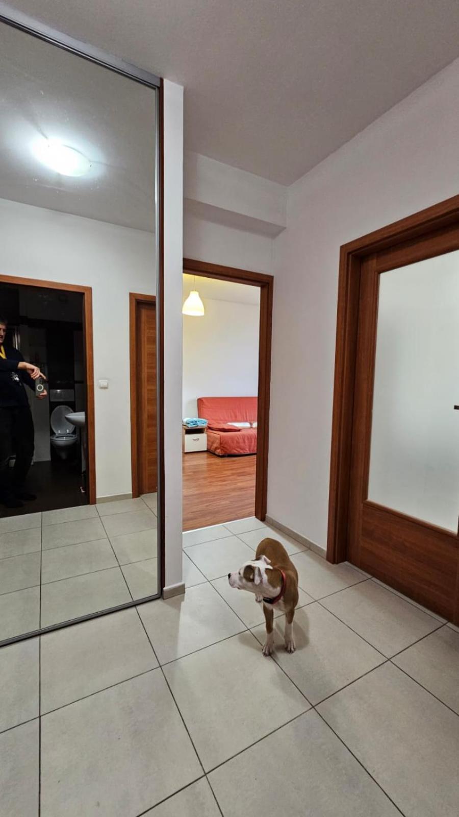 Apartament Lipinskiego Krakkó Kültér fotó