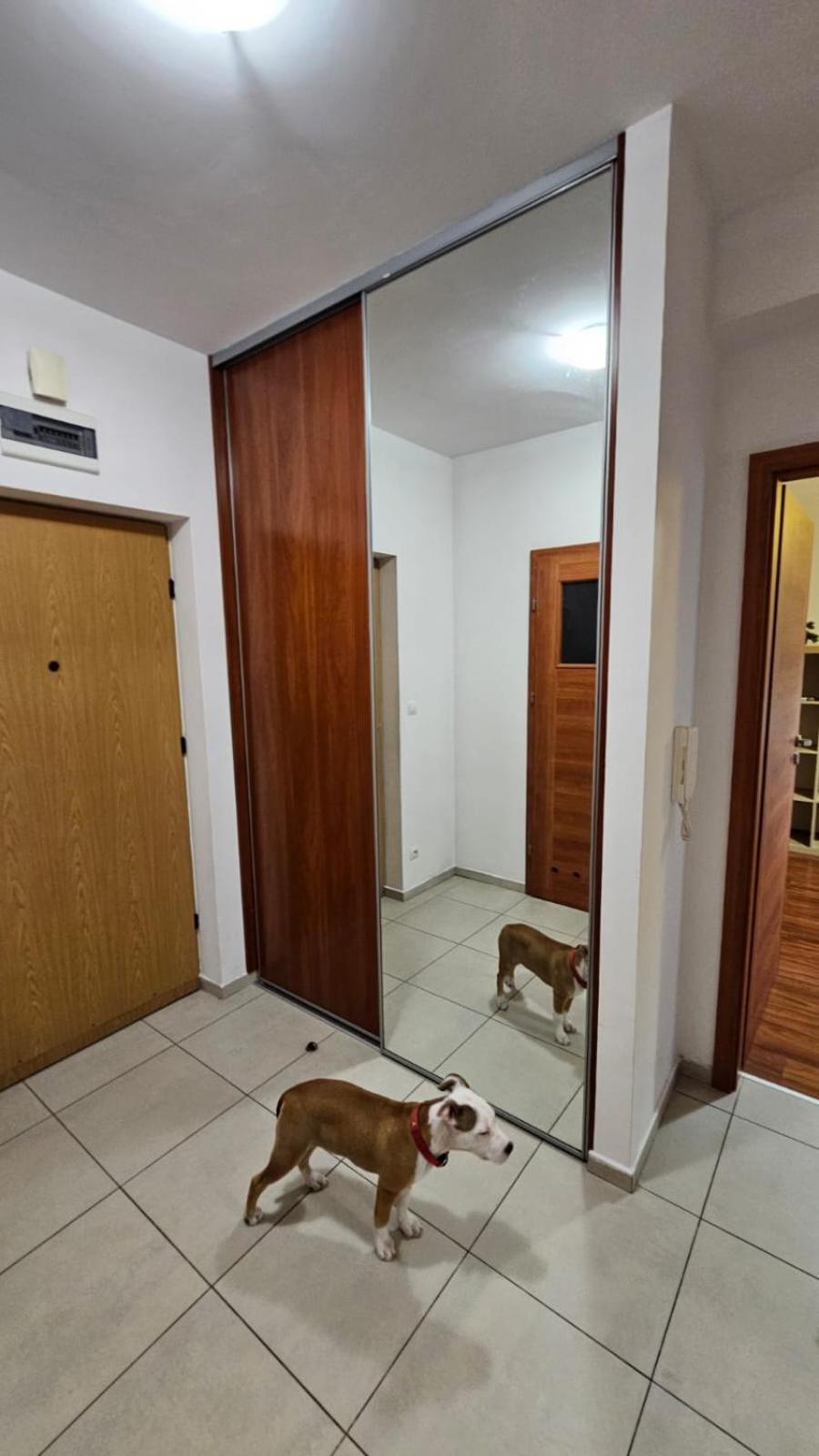 Apartament Lipinskiego Krakkó Kültér fotó